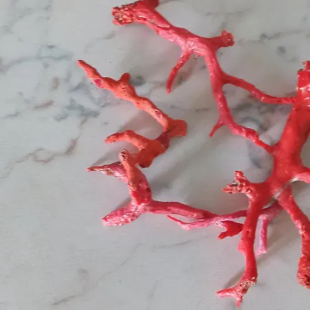 Il Corallo Di Santa Lucia サンタ・ルチア