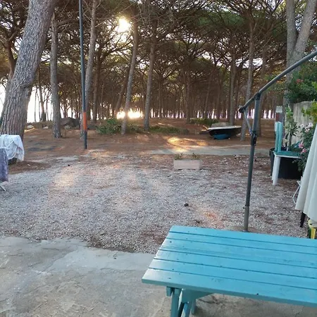 Il Corallo Di Santa Lucia *